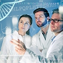 Staff Scientists