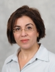 Prof. Irit Sagi