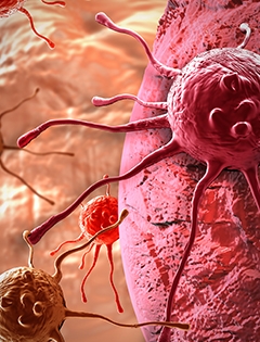 cancer cells