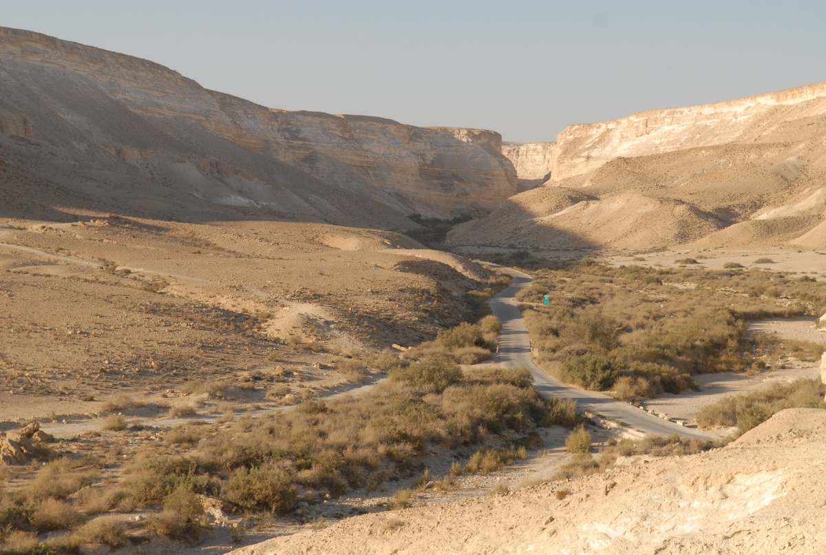 view of the location site Boker tachtit