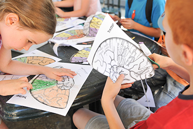Science education